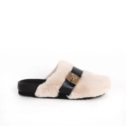 Clog alberta