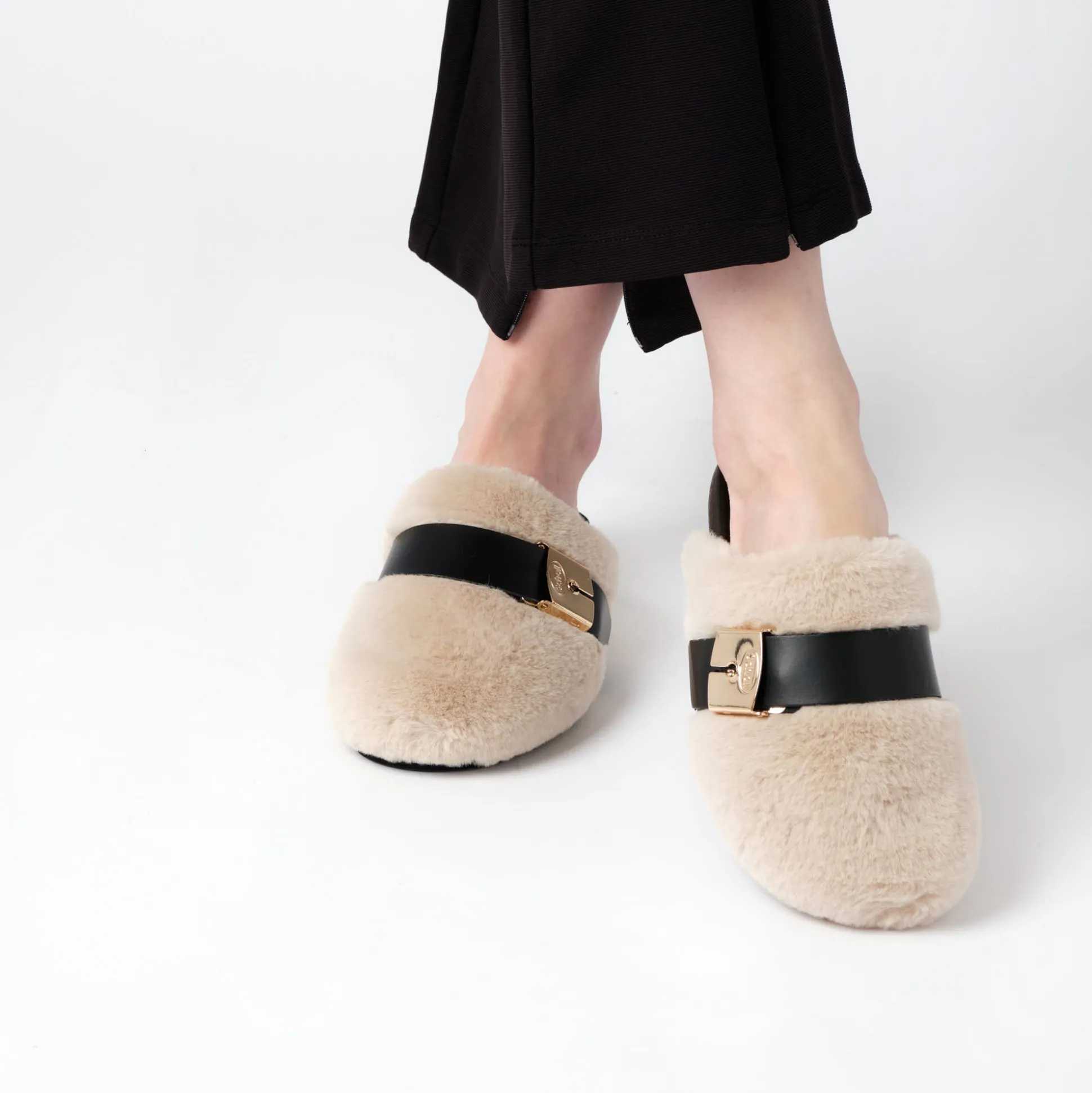 Clog alberta