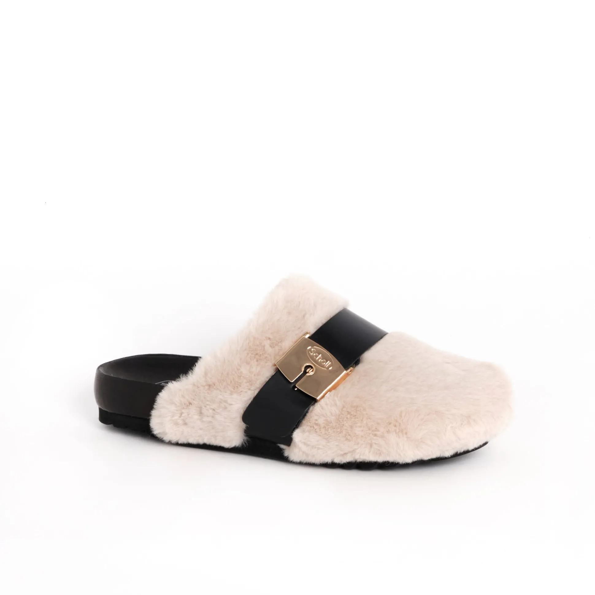 Clog alberta