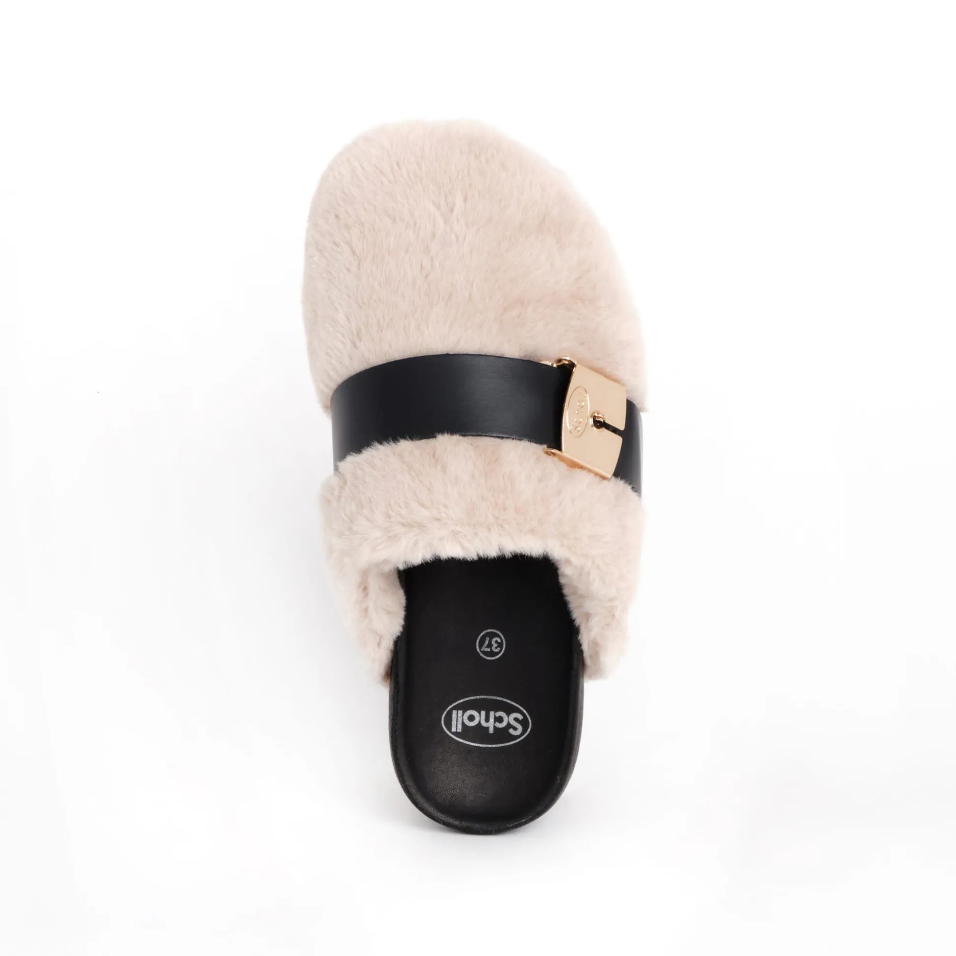 Clog alberta
