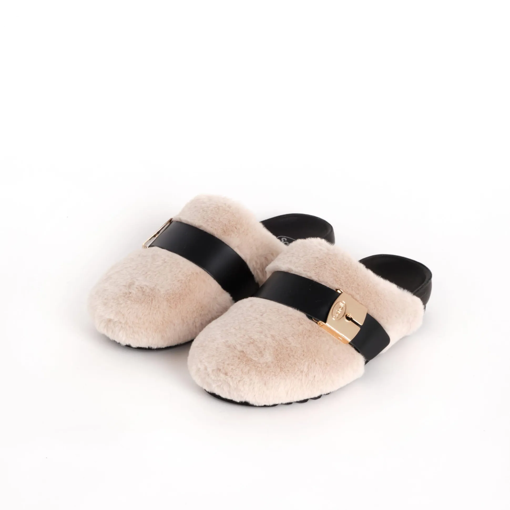 Clog alberta