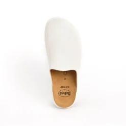 Clog ivy