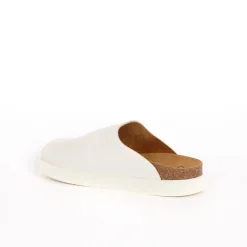 Clog ivy