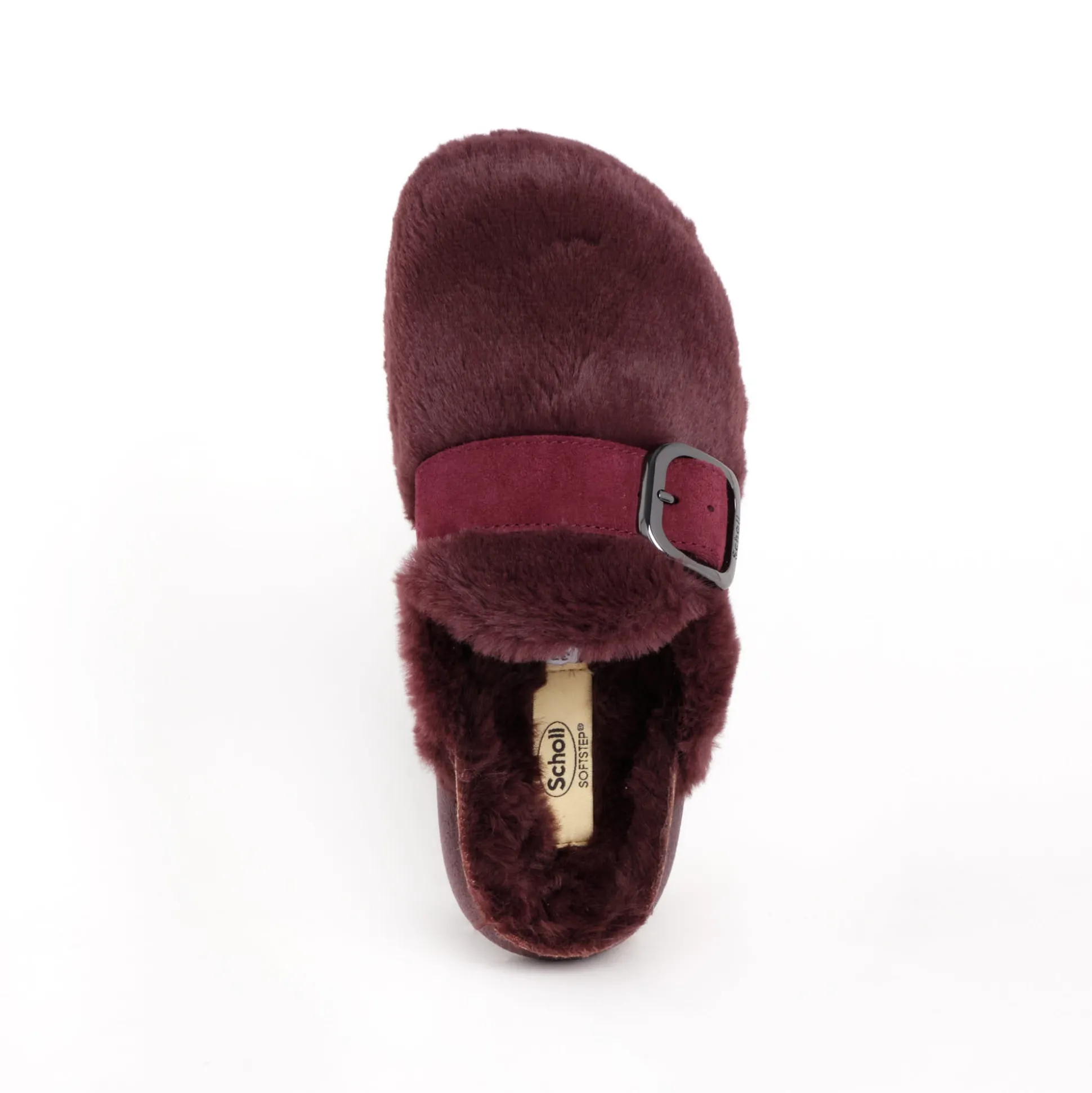 Clog ivy big buckle