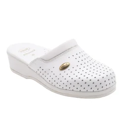 Mules clog backguard