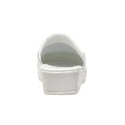 Mules clog backguard