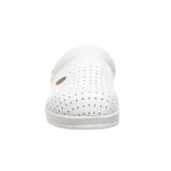 Mules clog backguard
