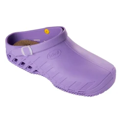 Mules clog evo
