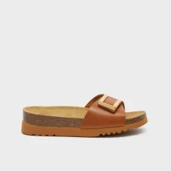 Mules monterey mule