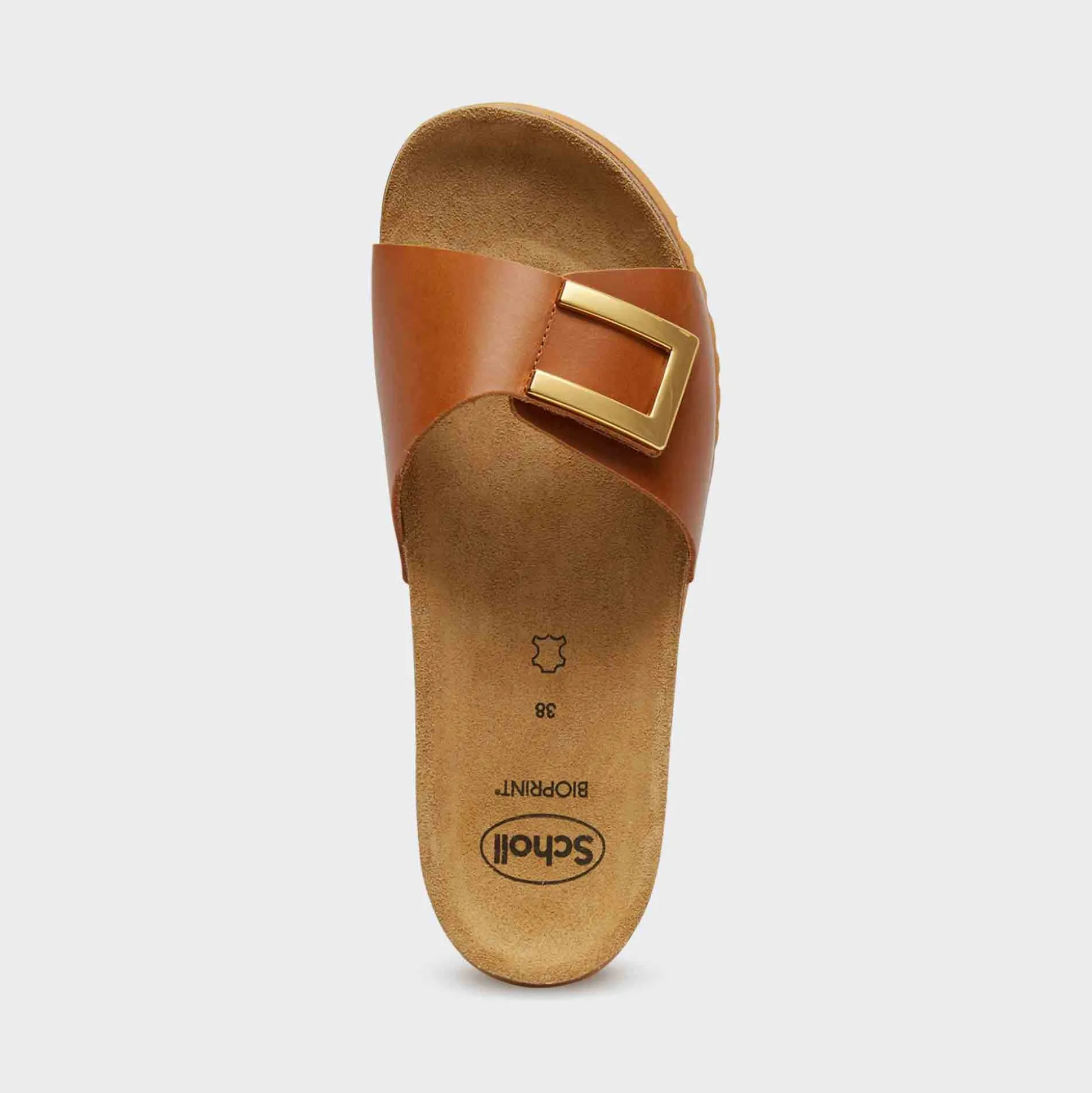 Mules monterey mule