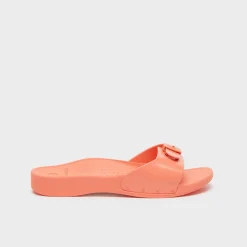 Mules scholl sun