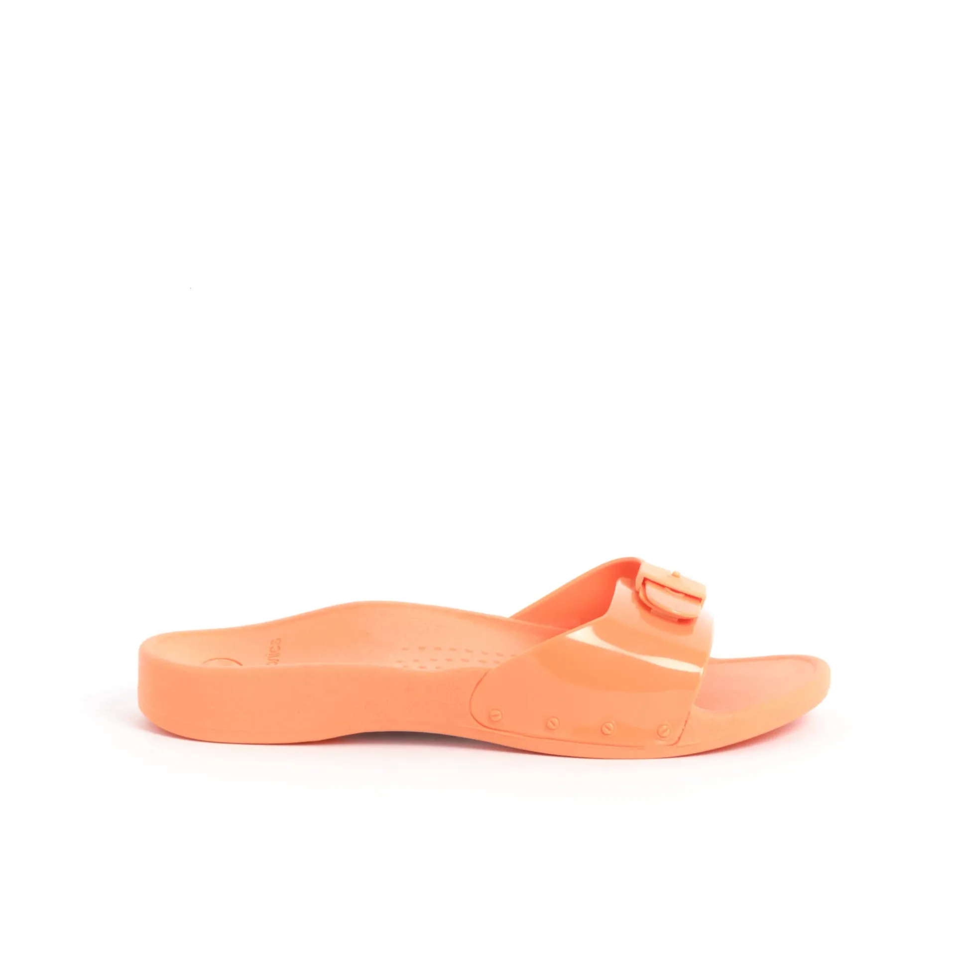 Mules scholl sun