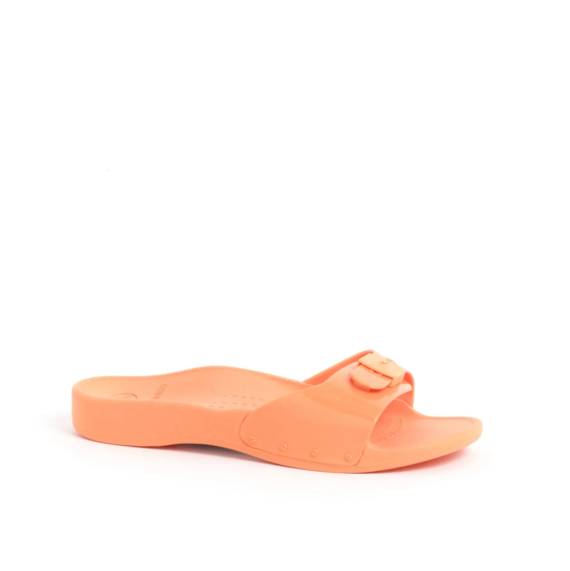 Mules scholl sun