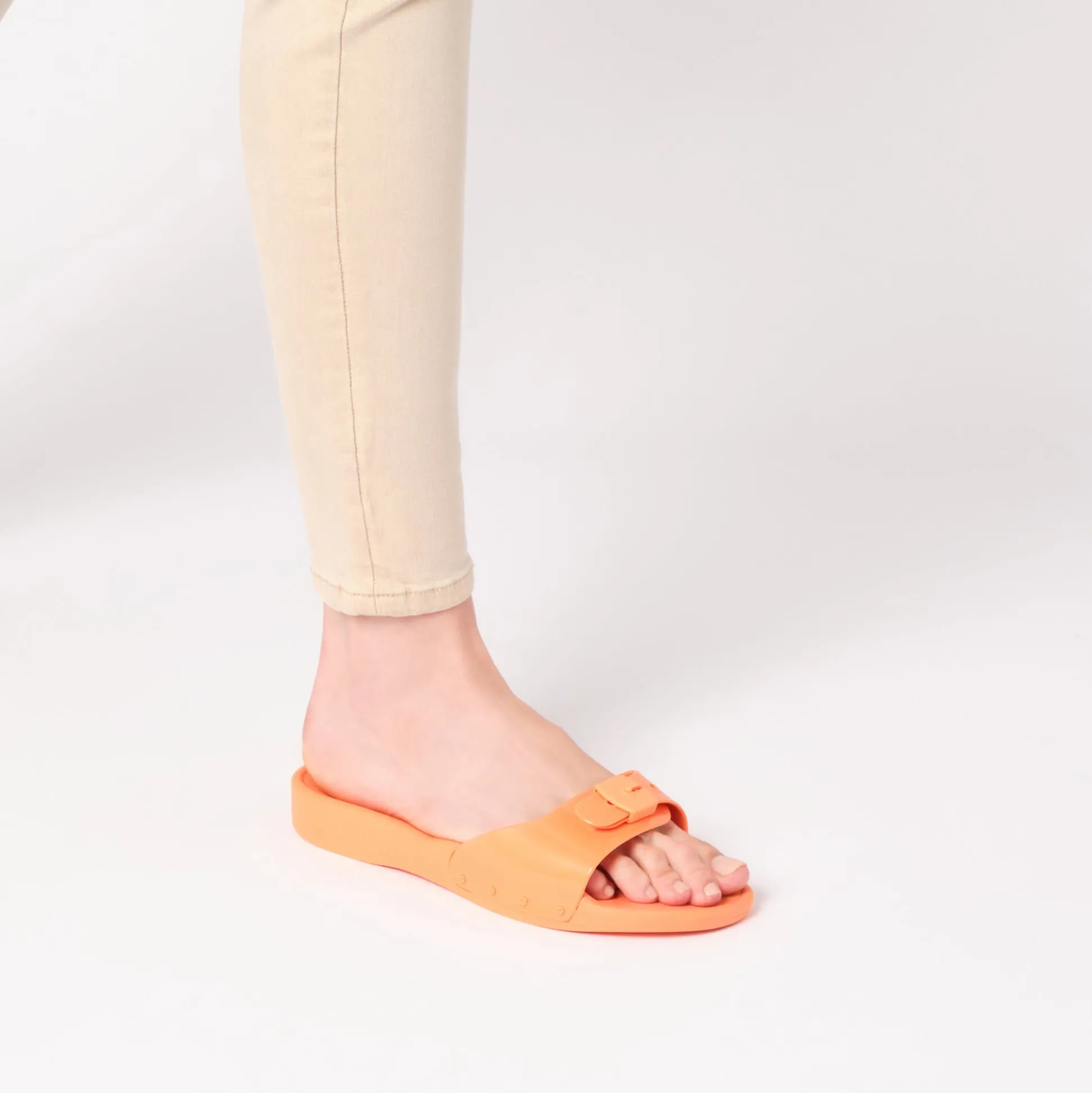 Mules scholl sun