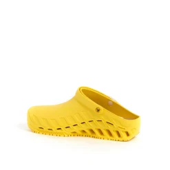 Sabots clog evo
