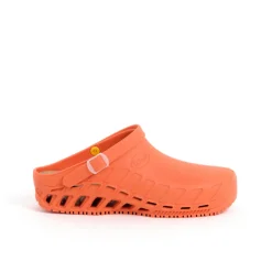 Sabots clog evo